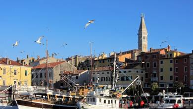 Coastal Croatia: Porec to Pula Cycling