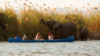 Zambezi Canoe Safari