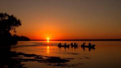 Zambezi Canoe Safari