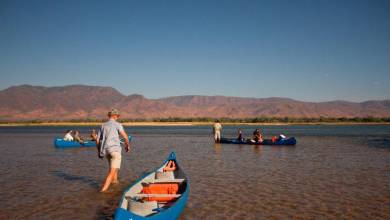 Zambezi Canoe Safari