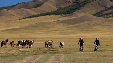 Cycling in Mongolia – Naadam Festival