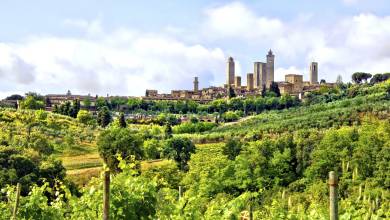Tuscany Walks & Chianti Wines