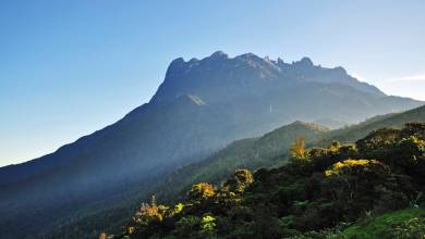 Borneo Wildlife Discoverer