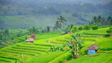 Cycling Indonesia’s Islands