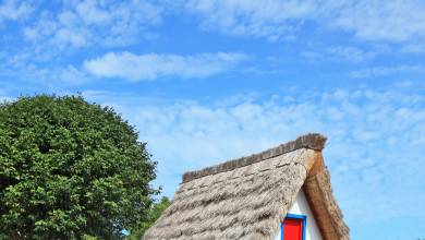 Marvels of Madeira Walk