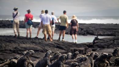 Galapagos Walking Adventure