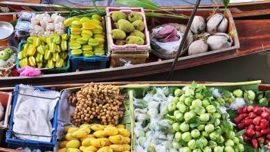 Vietnam Family Adventure