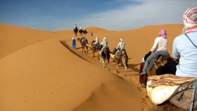 Camel ride in the Sahara Desert, Morocco