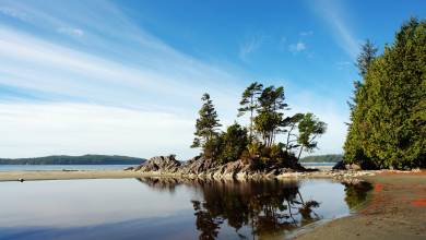 Whales & Bears of British Columbia