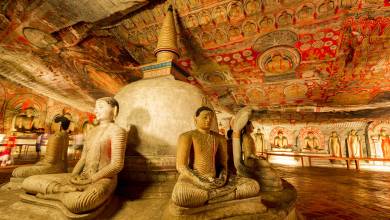 Sri Lankan Highlights