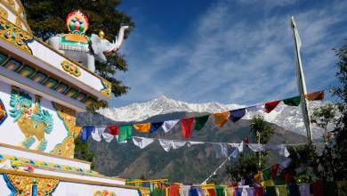 Foothills of the Himalaya