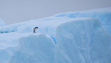 Crossing the Circle via Buenos Aires