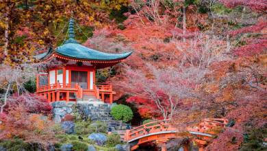 Autumn arrives in the temple gardens, Japan
