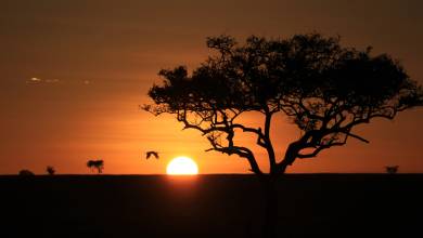 Kenya & Tanzania Adventure