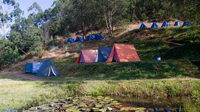 Spice Trails of Kerala