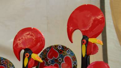 Cycling in Portugal: From the Mountains to the Sea