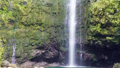 Marvels of Madeira Walk