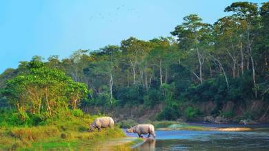 Highlights of Northern India & Nepal