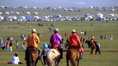 Day at the races, Naadam Festival