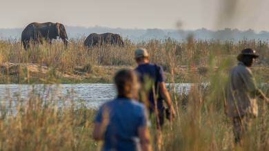 Zambezi Canoe Safari