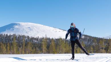 Cross-Country Skiing in Lapland