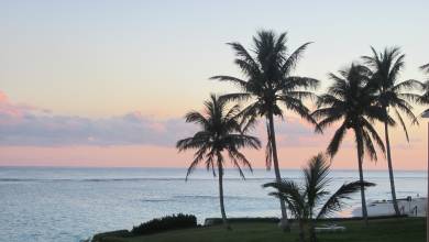 Islands of Bermuda Walk