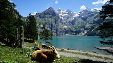 Classic Swiss Alps Walk