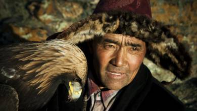 Eagle hunter, Mongolia