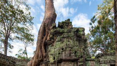 Angkor Wat Add-on Tour (from Ho Chi Minh City)
