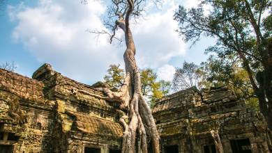 Angkor Wat Add-on Tour (from Ho Chi Minh City)