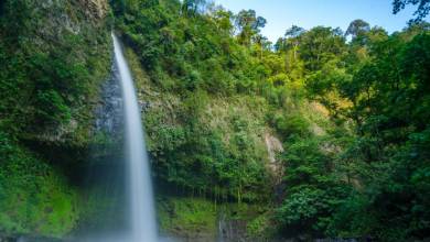 Costa Rica Active Escape