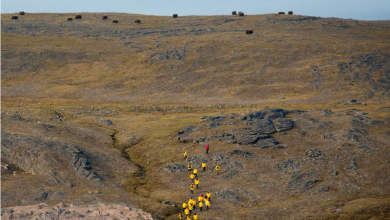South Greenland Adventure: The Majestic Alpine Arctic
