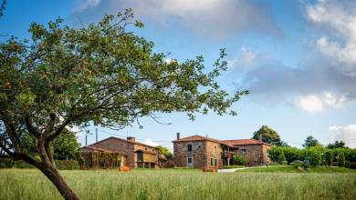 Highlights of the Camino de Santiago Walk