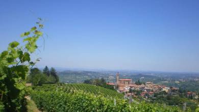 Gastronomic Barolo Walk