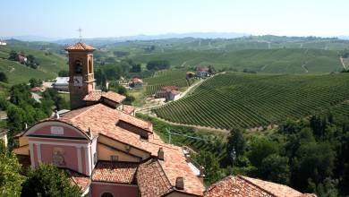 Gastronomic Barolo Walk