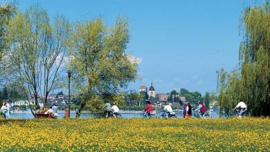 Highlights of Lake Constance by Bike
