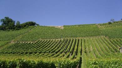 Passau to Vienna Cycling