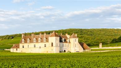 clos-blanc-de-vougeot