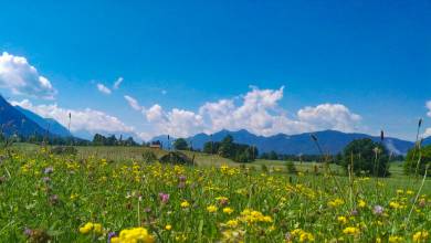 Lakes & Mountains of Bavaria Cycling