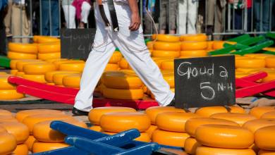 Gouda cheese market