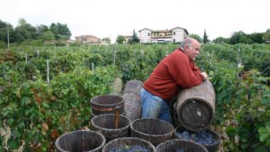 A Taste of Tuscany Cycling