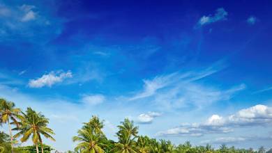 India’s North & South – Premium Adventure