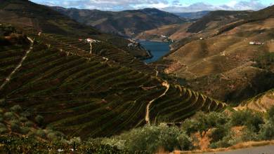 Cycling in the Douro Valley