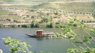 Cycling in the Douro Valley