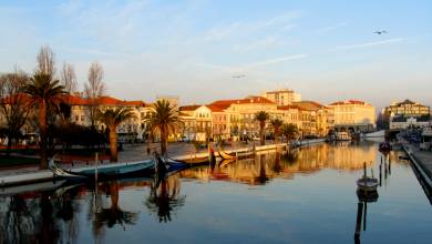 Porto to Coimbra Cycling