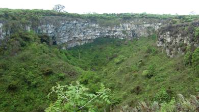 Galapagos Escape – Solaris (Itinerary C)