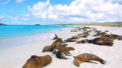 Galapagos Escape – Solaris (Itinerary B)