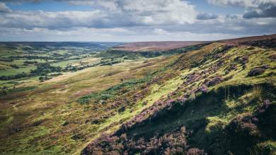 rosedale_railway_path_north_york_moor_NP