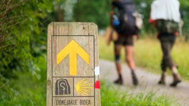 Walkers on the Caminso
