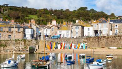 mousehole surfboards